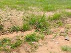 Land for Sale in Daraluwa