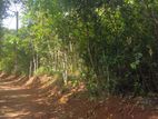 Land for Sale in Daswatte