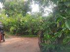 Land For sale in Dehiwala Aththidiya