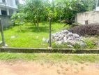 Land for Sale in Dehiwala Attidiya