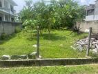 Land for sale in Dehiwala ( Attidiya)
