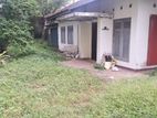 Land For Sale In Dehiwala - CL740