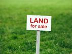 Land For Sale In Dehiwala - CL909