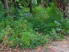 land for sale in Dehiwala