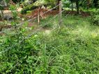 Land for Sale in Dehiwala