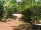 Land for Sale in Dehiwala