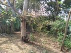 Land For Sale In Dehiwala