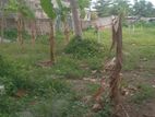 Land for Sale in Dehiwala