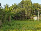 Land for sale in Dehiwala