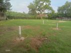 Land for Sale in Dehiwala