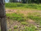 Land for Sale in Dehiwala