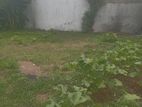 Land for Sale in Dehiwala