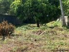 Land for Sale in Dehiwala ( Nedimala)