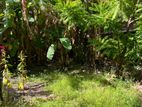 LAND FOR SALE IN DEHIWALA{LS-665}