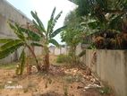 Land For Sale in Dehiwale