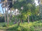 Land for Sale in Dehiwatta, Seruvila, Trincomalee