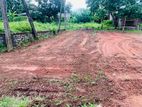 Land for Sale in දෙල්දූව