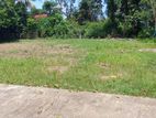 Land for Sale in දෙල්දූව