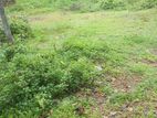 Land For Sale In Delduwa Kalutara