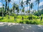 Land for Sale in Delgoda Biyagama