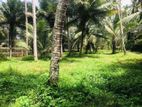 Land for Sale in Delgoda