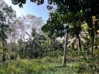 Land for Sale in Delgoda