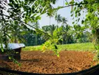 Land for sale in Delgoda