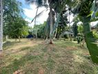 Land for Sale in Delgoda