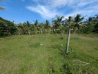 Land for sale in Delgoda