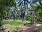 Land For Sale in Delgoda (SSPL-365)