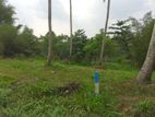 Land for Sale in Delta Pussallawa