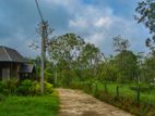 Land for sale in Delta Pussallawa