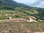 Land for Sale in Deltota