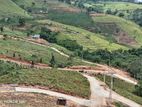 Land for Sale in Deltota