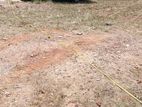 Land For Sale In Dematagoda - CL761