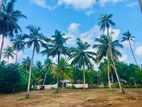 Land For Sale In Denipitiya