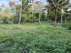 Land For Sale in Denipitiya (SSPL-295)