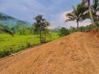Land for Sale in Deniyaya