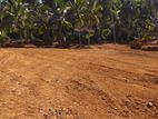 Land for Sale in Deniyaya Lot No.44