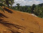 Land for Sale in Deniyaya, Waralla