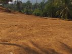 Land for Sale in Deniyaya, Waralla