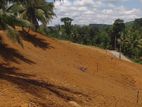 Land for Sale in Deniyaya, Waralla