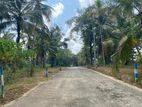 Land for Sale in Dewalapala