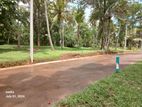 Land for Sale in Dewalapoa