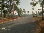 Land for Sale in Dewalapola