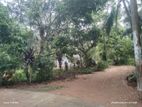 Land For Sale in Dewalapola - Minuvangoda (SSPL-396)