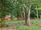 Land for Sale in Dickwella Hiriketiya Inland –code Add 815