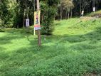 Land for sale In Digana