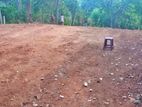 Land for Sale in Digana