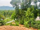 Land for Sale in Digana